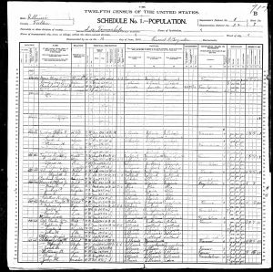 Dunbar, Oscar F., 1900, Census, USA, Lee, Fulton, Illinois, USA