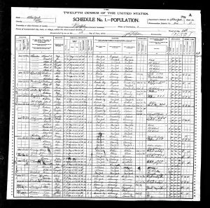 Heintz, Katherine, 1900, Census, USA, Buffalo Ward 25, Erie, New York