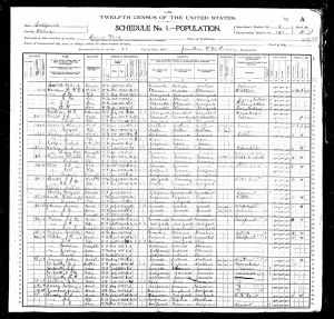 Speidel, Joesph Frances, 1900, Census, USA, District 0141, Buena Park, Orange, California