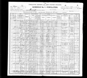 Luper, James Martin, 1900, Census, USA, Irving, Lane, Oregon
