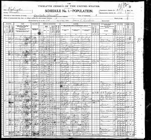 Luper, Lewis Taylor, 1900, Census, USA, Harrington, Lincoln, Washington