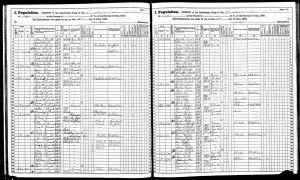 Speidel, Max Joseph, 1865, Census, New York, Buffalo Ward 25, Erie, New York