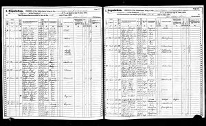 Speidel, Max Joseph, 1875, Census, New York, Buffalo Ward 25, Erie, New York