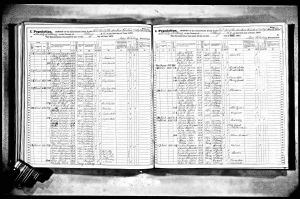 Goodman, Frederika, 1875, Census, New York, Albany, Albany, New York, USA