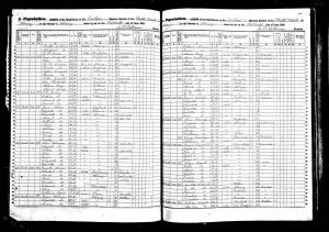 Millwain, James, 1855, Census, New York, Albany City, Ward 10, Albany, New York, USA