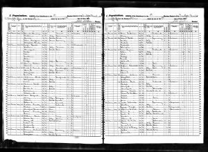 Speidel, Max Joseph, 1855, Census, New York, 1st Election District, 12th Ward, Buffalo, Erie, New York