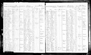 Millwain, James, 1892, Census, New York, Ward 14, Albany, Albany, New York