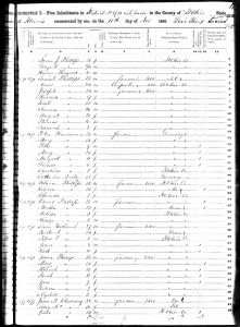 Holcomb, Lewis, 1850, Census, USA, Twelve Mile Prairie, St Clair, Illinois, USA