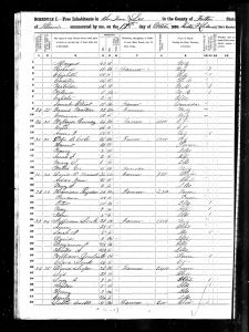 Cole, Peter Burr, 1850, Census, USA, Lee Township, Fulton, Illinois