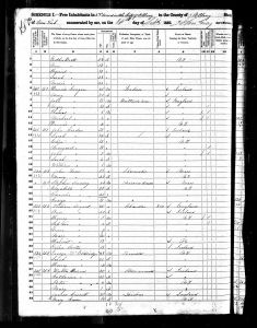 Bratt, Henry, 1850, Census, USA, Albany Ward 2, Albany, New York