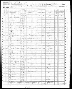 Luper, David, 1860, Census, USA, Lee Township, Fulton, Illinois