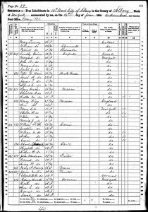 Bratt, Henry, 1860, Census, USA, Albany Ward 10, Albany, New York