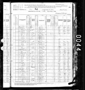 Luper, David, 1880, Census, USA, Lee Township, Fulton, Illinois