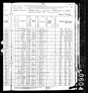 Cole, Peter Burr, 1880, Census, USA, Bushnell, McDonough, Illinois