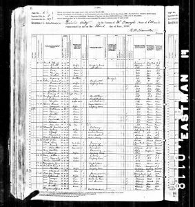 Mead, Alfred, 1880, Census, USA, Bardolph, McDonough, Illinois
