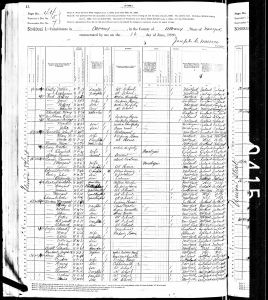 Bratt, Sara, 1880, Census, USA, Albany, Albany, New York