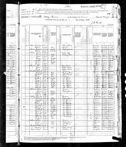 Devine, Daniel, 1880, Census, USA, Cottage Grove, Lane, Oregon