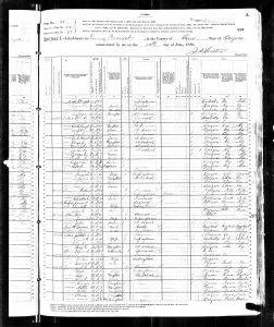 Luper, Lewis Taylor, 1880, Census, USA, Irving, Lane, Oregon