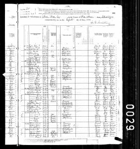 Goodman, Louis, 1880, Census, USA, Walla Walla City, Walla Walla, Washington