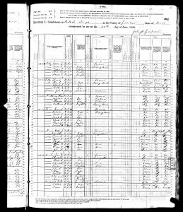 Brown, Samuel, 1880, Census, USA, Guadalupe, Texas