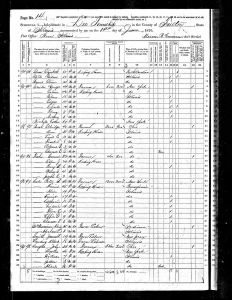 Cole, Peter Burr, 1870, Census, USA, Lee, Fulton, Illinois