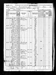 Luper, Lewis Taylor, 1870, Census, USA, Lancaster, Lane, Oregon