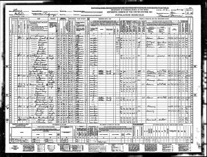 Census 1940 Ridgway, Gallatin, Illinois Year: 1940; Census Place: Ridgway, Gallatin, Illinois; Roll: m-t0627-00807; Page: 6A; Enumeration District: 30-15