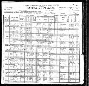 Luper, David D, 1900, Census, USA, Precinct 28, Weld, Colorado