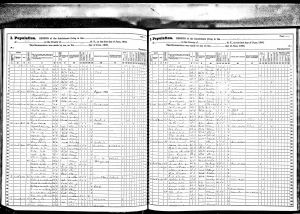 Bratt, Gerrit Teunis Jr, 1865, Census, New York, Albany, Albany, New York, USA