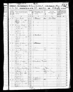 Bratt, Henry David, 1850, Census, USA, New Scotland, Albany, New York