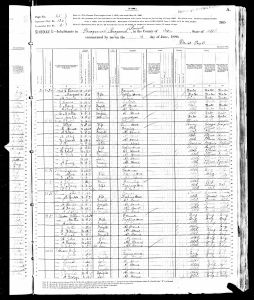 Barton, Joseph Penn, 1880, Census, USA, Paragonah, Iron, Utah