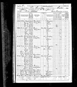 Luper, David, 1870, Census, USA, Lee Township, Fulton, Illinois